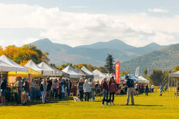 Row of farmer's market tents with people browsing and mountains in the background