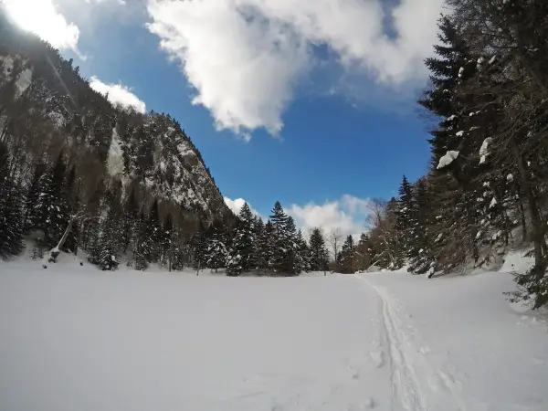 A high cliff seen from a snowy open area with ski tracks
