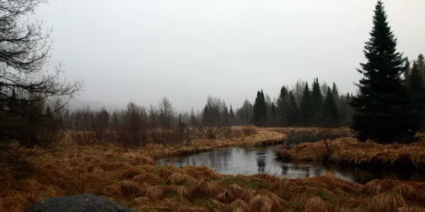 Late fall is a lovely time to visit South Meadow.