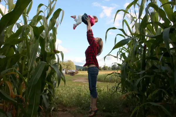The Great Adirondack Corn Maze