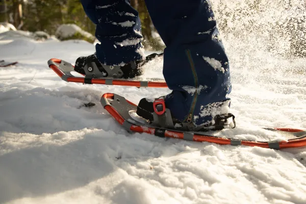 This is a fine place to try a snowshoe climb.