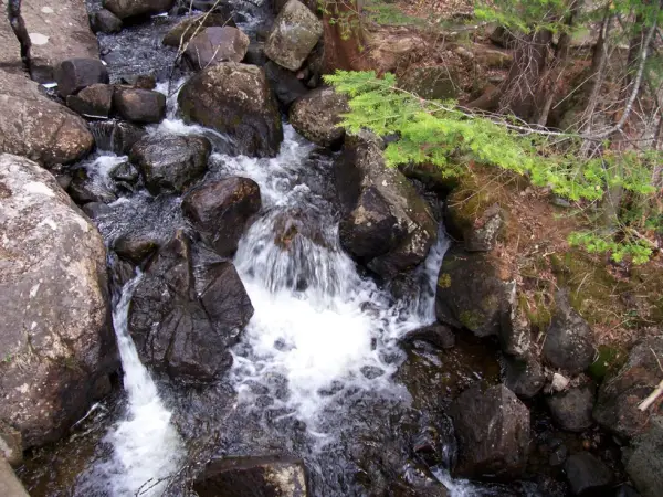 The music changes with every bend of the river.