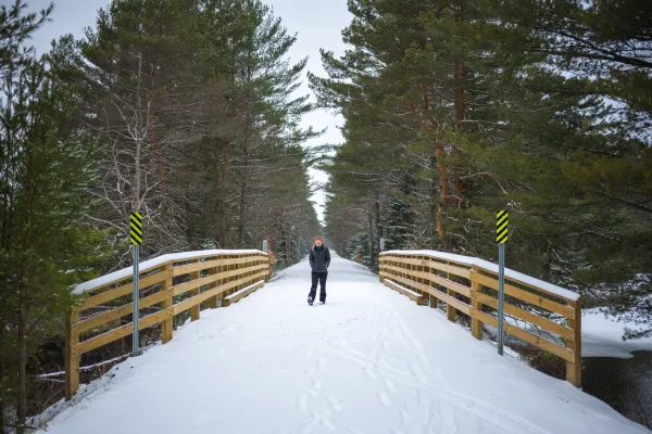 A person walking on the Rail Trail in the winter