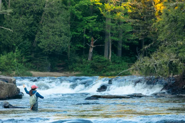 A fly fisher casts out at the bottom of a short waterfall