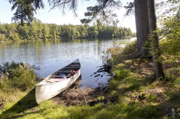 All kinds of boating at the many connected ponds.