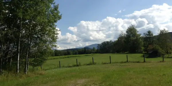 Country vistas appear in a mostly unlikely place on Bear Cub Road.