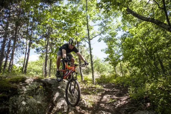 A mountain biker going down rocky terrain