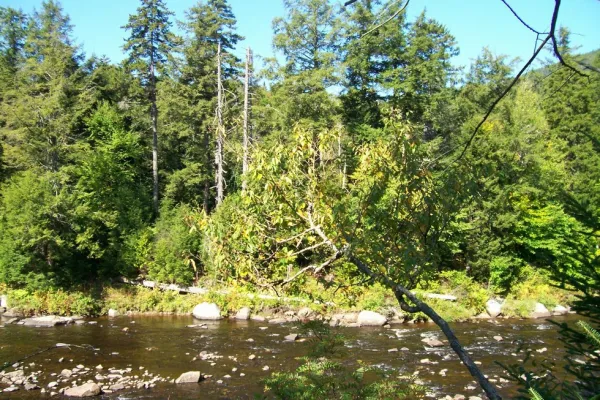 The banks of the river add interest to hiking and fishing.
