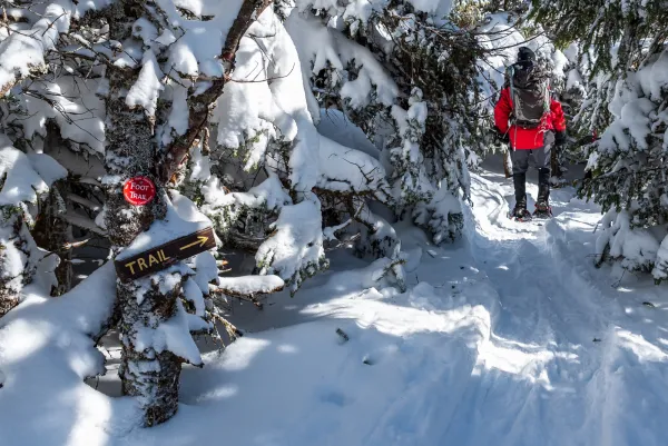 A hiker follows a snow-covered path through a forest, passing a wooden "TRAIL" sign and a red trail marker fixed to a tree.