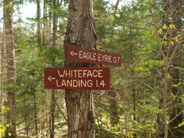 Wooden signs for Whiteface Landing and Eagle Eyrie