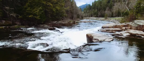 The view from the top of a short waterfall