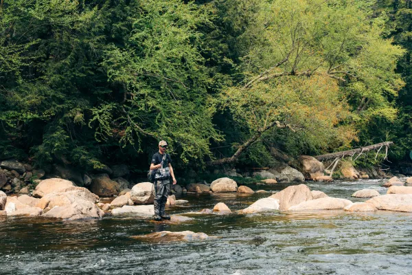 A fly fisherman in waders and gear stands on a rock in a shallow, boulder-filled river surrounded by a lush green forest.