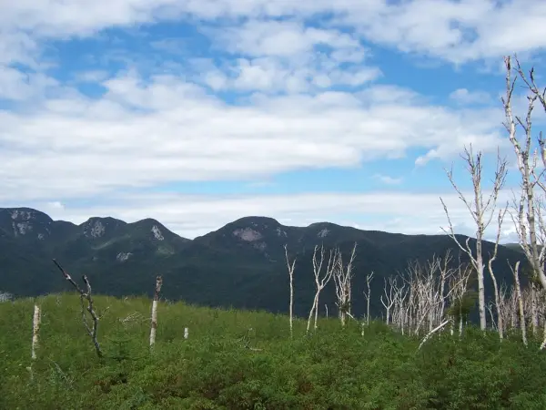 Here is the angle that gave two mountains the name of Wolf Jaw.