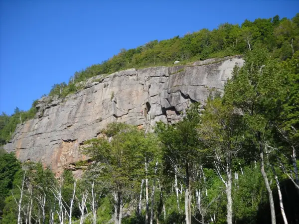 A rock climbing cliff surrounded by trees