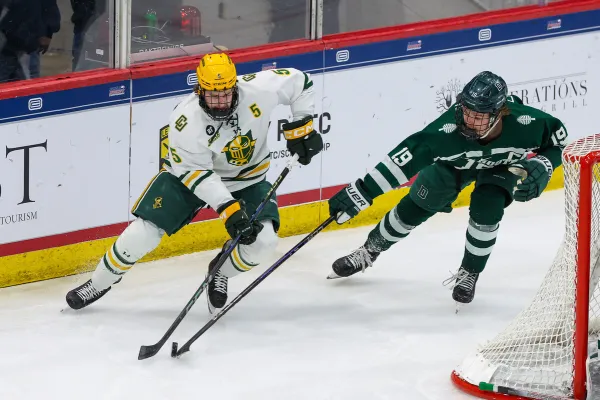 The image shows an indoor ice hockey arena filled with spectators. 