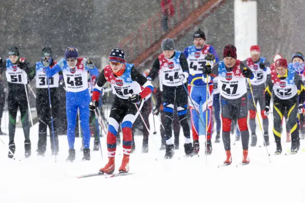 Group of nordic skiers competing in a ski race.
