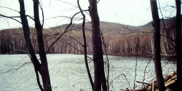 Round Pond is beautiful in winter.