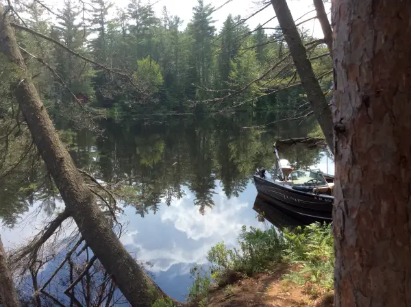 Lots of places for boats and paddling at Buck Pond.