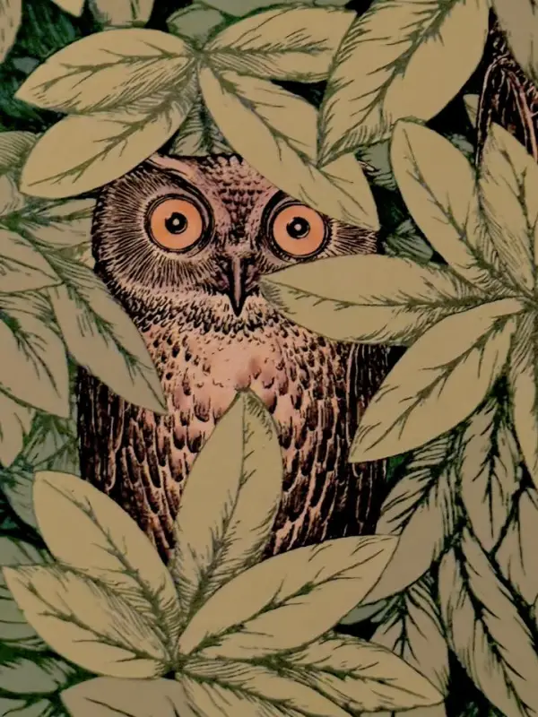 An illustration of an owl with golden eyes sitting, partially obscured by leaves.