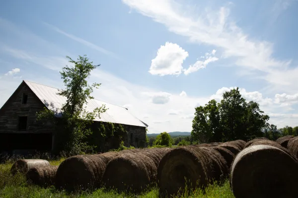 A farm with hay bales rolled up in the field. 