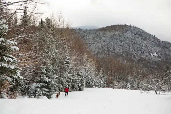 Plenty of photo opportunities of the special winter landscape.