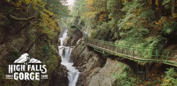 A view of the gorge from one of the awesome walkways