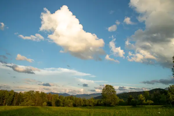 Heaven Hill trails are in a mixed forest/meadow setting. 