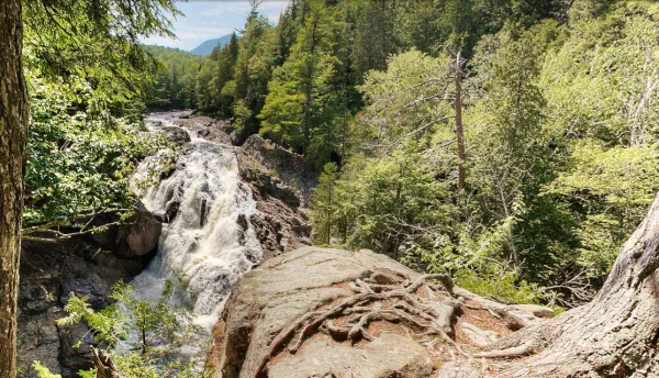 View of a narrow gorge between 2 forested areas