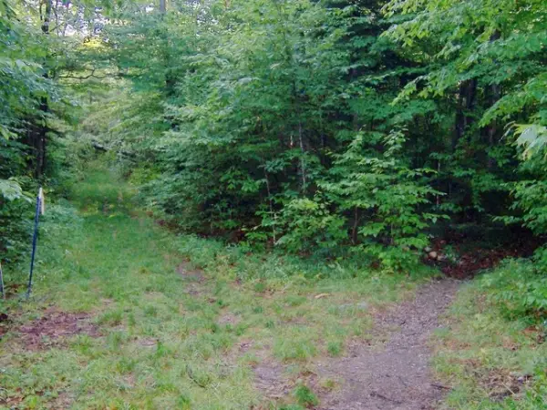 The Seymour herd path is on the right.