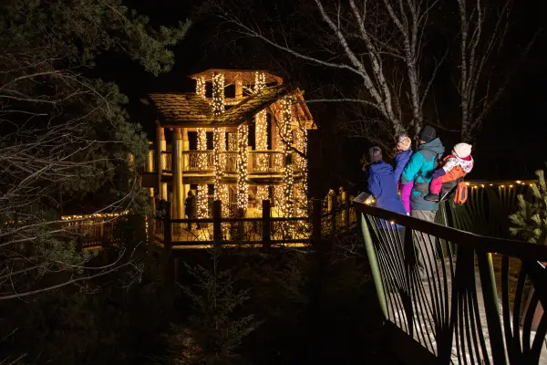 A group of people enjoying the outdoor winter exhibit, Wild Lights