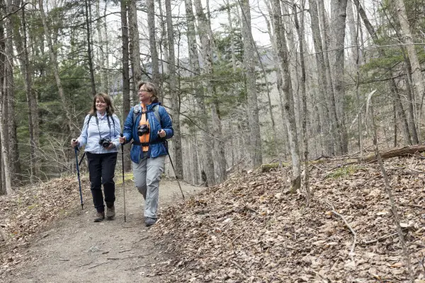 Two woman hike a flat trail in the woods