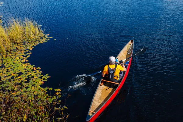 A person in a yellow shirt paddles a long, slender red canoe through deep blue water past a patch of lily pads.