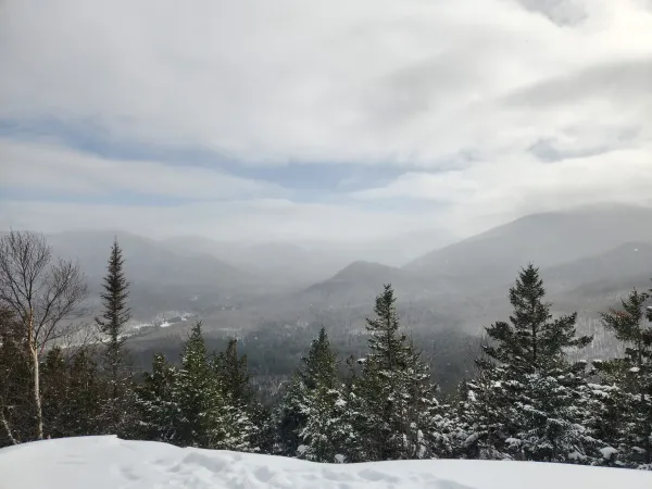 A snow-covered mountain vista, featuring evergreen trees dusted with snow in the foreground.