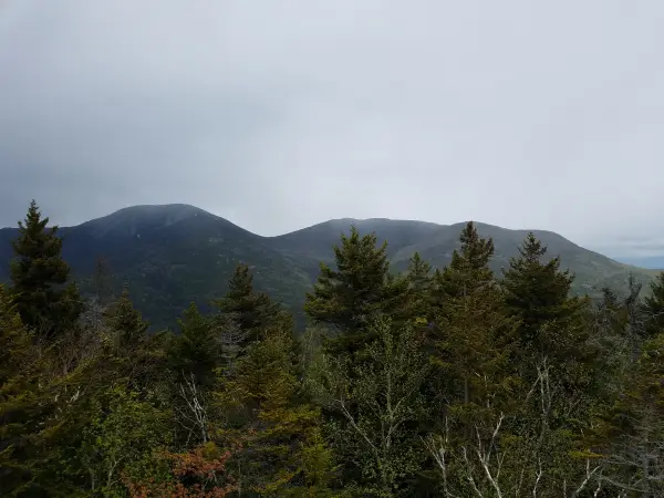 The view of a couple mountains over some trees