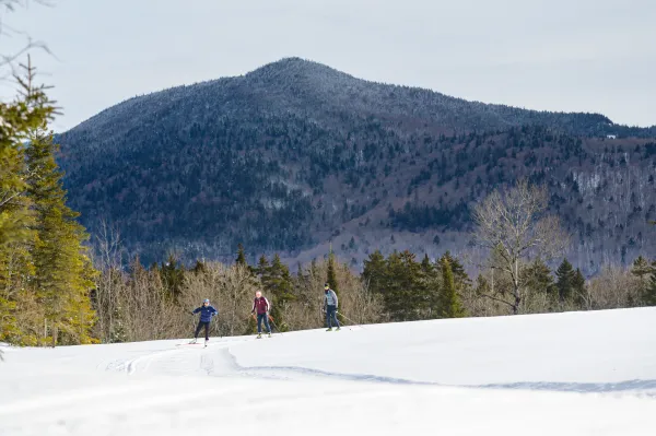 Three people cross-country skiing on a snowy trail with a forest and a large mountain in the background, under a clear, pale blue sky.
