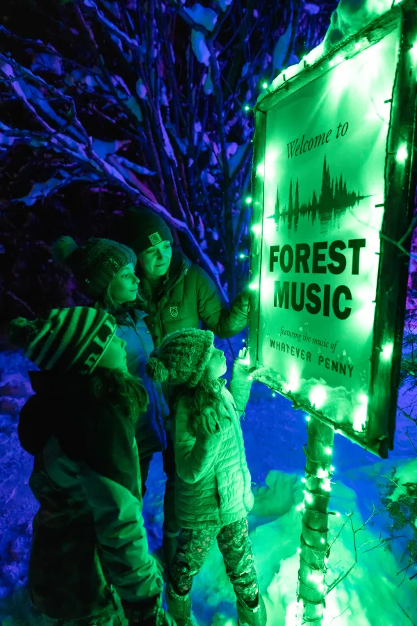wild lights with forest music sign 