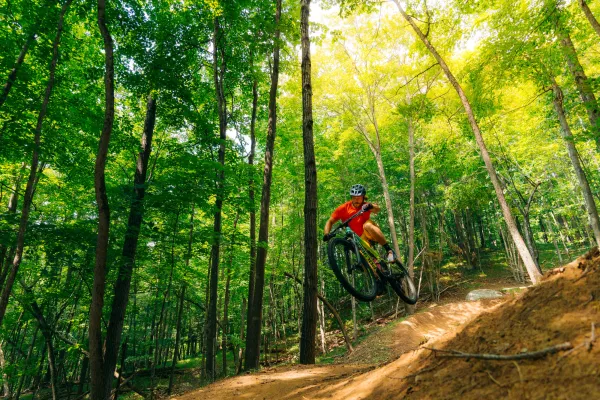 Mountain biker in red shirt rides bike off jump on dirt trail in green forest