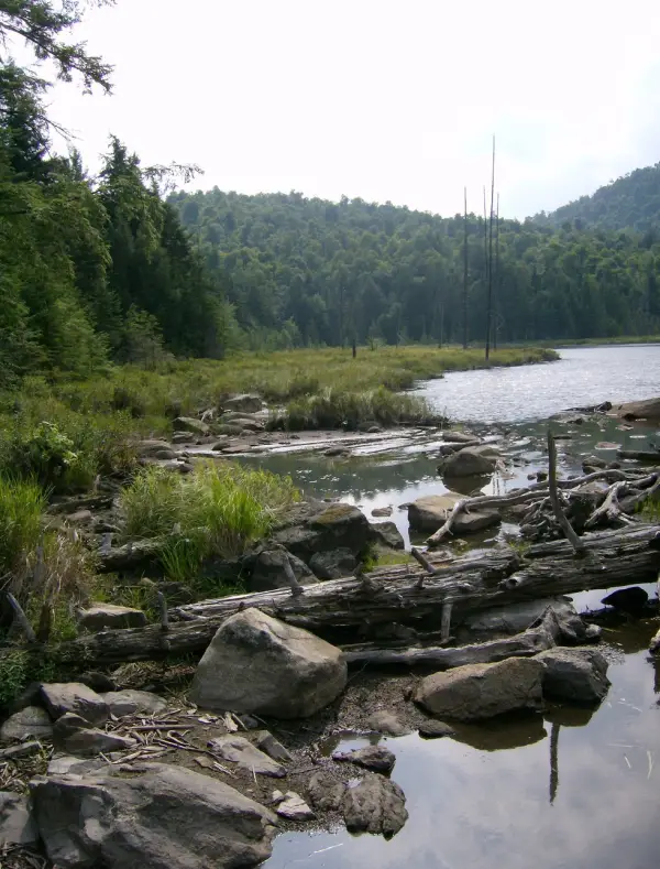 Tom Peck Pond has an interesting shoreline for paddling or fishing.
