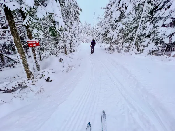 First person of someone skiing on xc trails