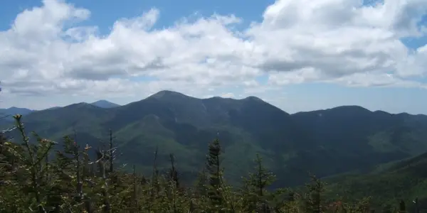 A view of tree-covered mountains from a summit