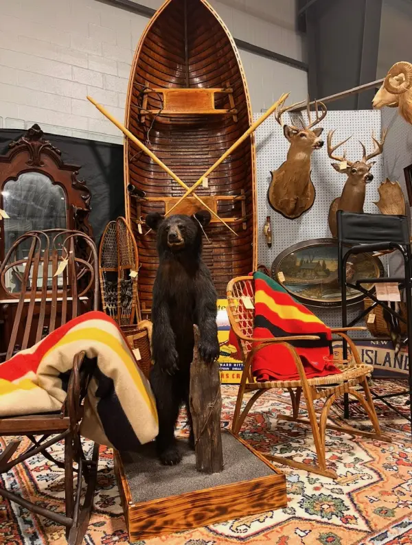 Bear Antiques