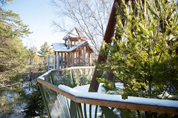 Winter view of The Wild Center's outdoor Wild Walk