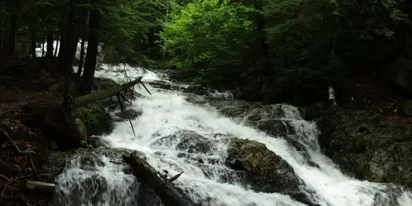 A cascading section of water
