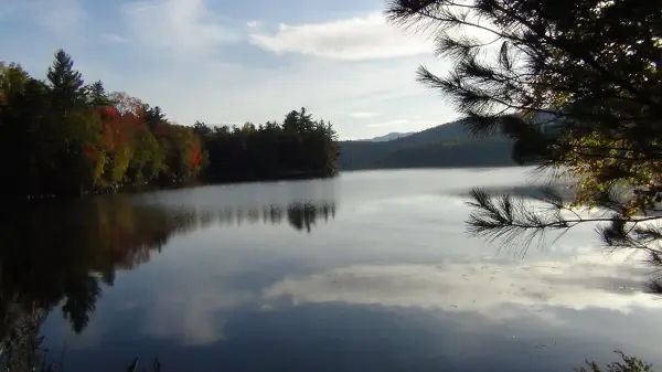 This is a narrow lake with lots of trees, making for a sheltered, and tranquil, paddle.