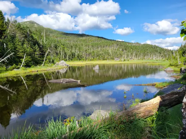The view of a reflecting mountain pond