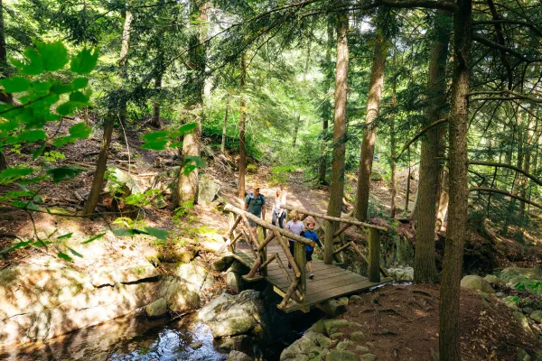 Family crossing a bridge on a hike