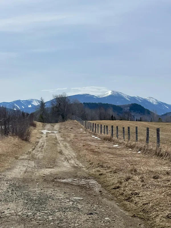 A trail leading to a blue  mountain range against an overcast sky.