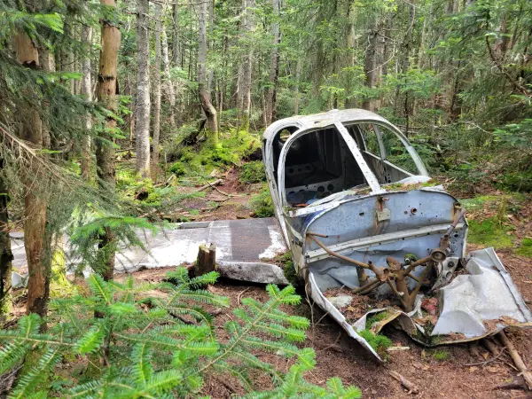 A wrecked small plane in the woods