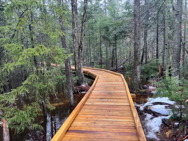 A new wooden boardwalk weaves through trees