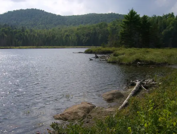 Tom Peck is a lovely scenic pond.